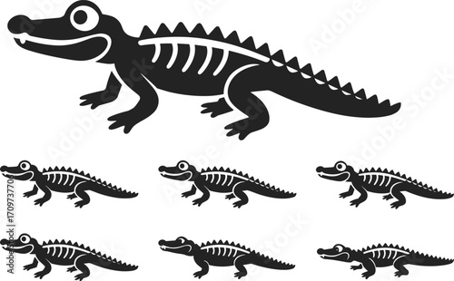 Alligator and crocodile skeleton illustrations, vector reptile icons, wildlife clipart set, animal anatomy design art, prehistoric outline pack, reptile graphic collection