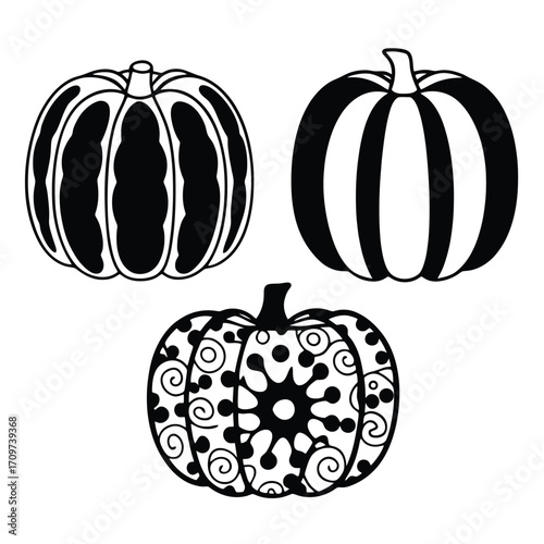 Vector illustration of miniature pumpkins and gourds for autumn harvest and halloween decor