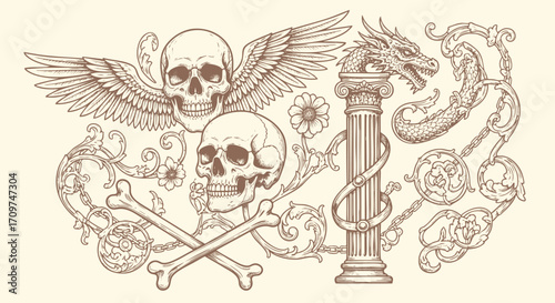 Floral decorative vector elements set, rococo and baroque style, SKULL, DRAGON, RENAISSANCE, vintage royal details. engraving illustration set