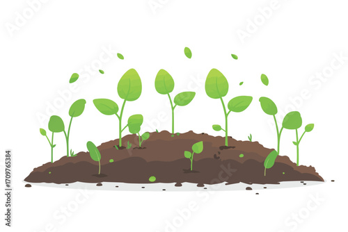 Sowing Seeds in Vegetable Patch soil isolated