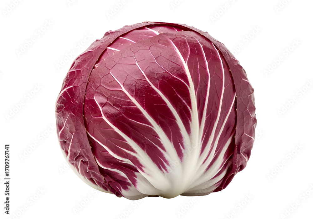 Obraz premium A vibrant, deep-red and white radicchio head stands out against a pure black background.