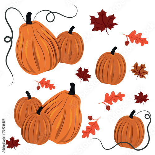 Set 7 pcs. orange pumpkins on white background, harvest festival - Vector illustration
