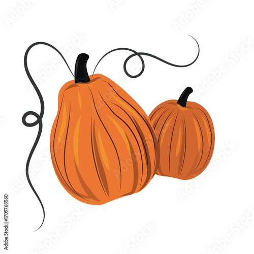 Orange pumpkins on a white background, harvest festival - Vector illustration