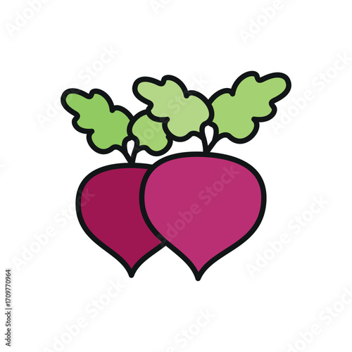Beetroot icon in color with line for vegetable, eco, and healthy food projects.