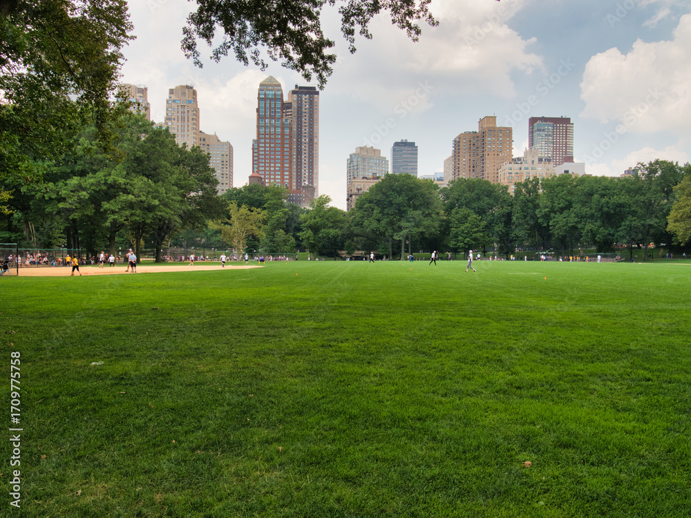 Fototapeta premium Central Park Sheep Meadow - The expansive green lawn of Sheep Meadow in Central Park, New York City, with the Midtown Manhattan skyline and people enjoying the park.