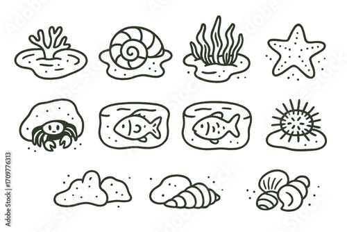 Marine life linear icon set. featuring coral, shell, seaweed, starfish, crab, fish, and sea urchin symbols