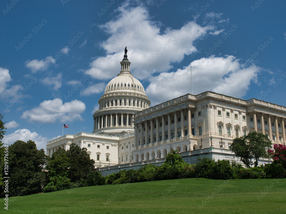 Obraz premium United States Capitol Building and Reflecting Pool - The U.S. Capitol Building and its reflecting pool on a sunny day with people walking on the lawn.