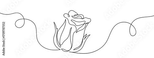 Continuous line of single rose. Simple line art doodle vector. Editable stroke.