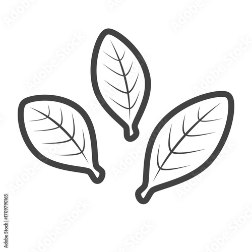 Coca leaves outline icon transparent vector isolated