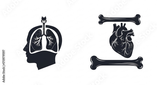 Anatomical representation showing lungs in head bones and heart illustrations with dark silhouettes created with generated ai