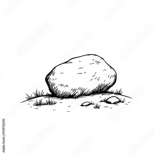 Detailed rock illustration with shading surrounded by sparse vegetation creating a natural