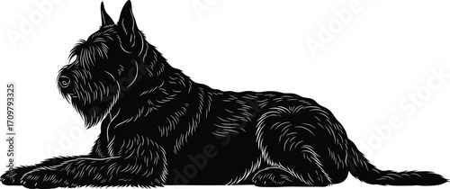 Schnauzer dog silhouette vector illustration showing lying down pose, detailed fur texture, relaxed position, pet breed design on white background
