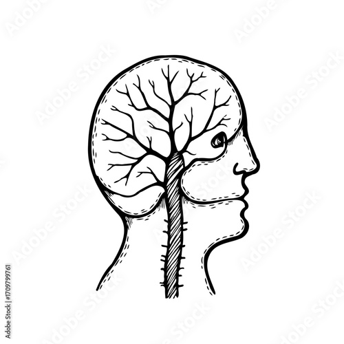 Human Silhouette with Cerebral Tree Branches, Exploring Mental Landscapes and Cognitive Frameworks