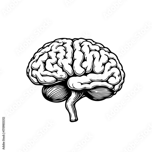 Intricate human brain illustration showcasing neural pathways knowledge representation for medical