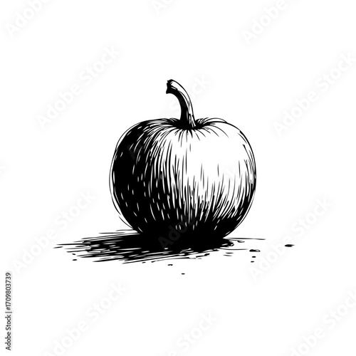 Intricate sketch of a singular apple displaying depth and texture using delicate hatch markings