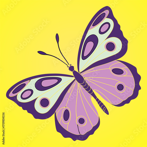 A collection of 16 realistic butterflies in various poses and angles, including top view with wings open, side views in mid-flight, and resting positions. Each butterfly has a unique wing shape and si