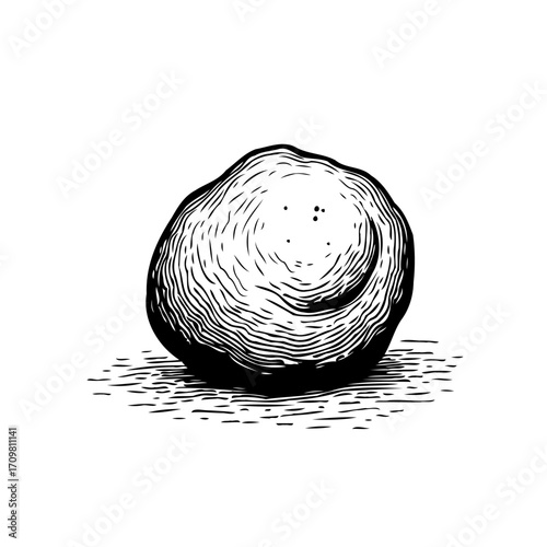 Monochrome woodcut illustration of a stone conveying minimalist aesthetic texture depth and