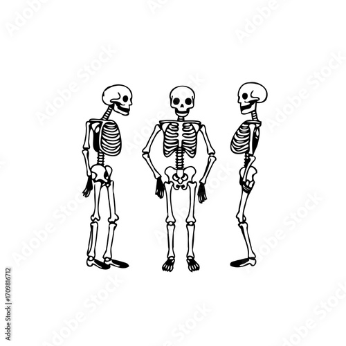 Skeletal ensemble: A monochrome depiction of human remains in various stances against a plain