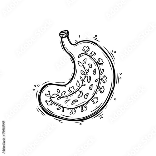 Stylized black and white anatomical stomach illustration with botanical elements conveying organic