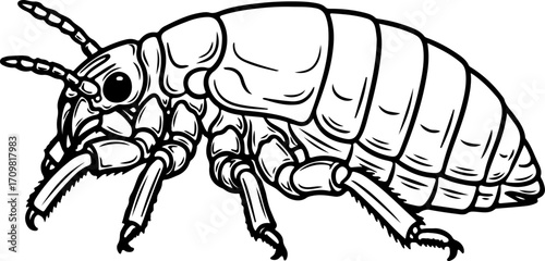 Vector art of woodlouse insect drawing
