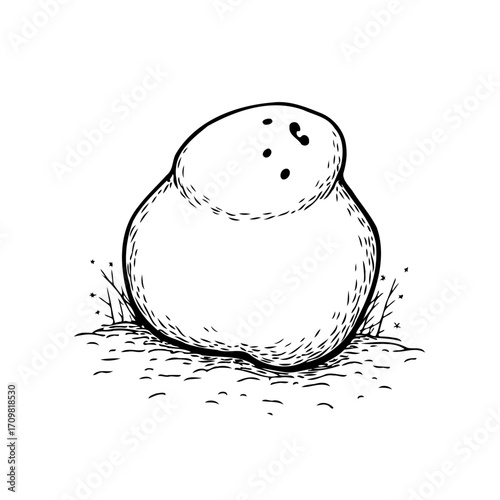 Stylized monochrome illustration of a rounded form in an organic textured field simple rendering