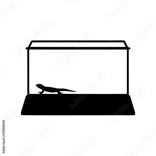 Silhouette of a lizard in a terrarium, isolated on a white background