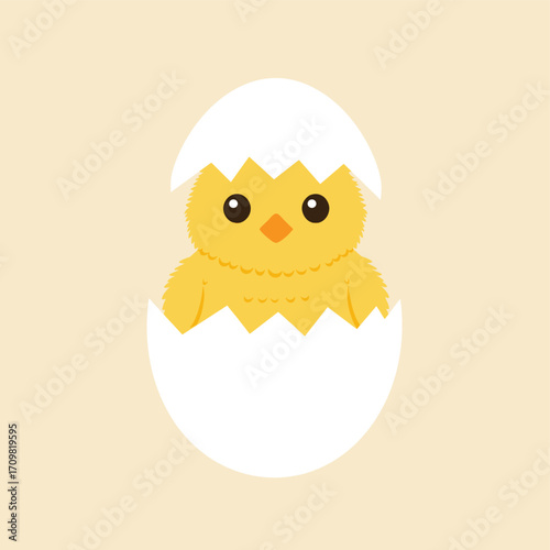 Cute Vector of Chick