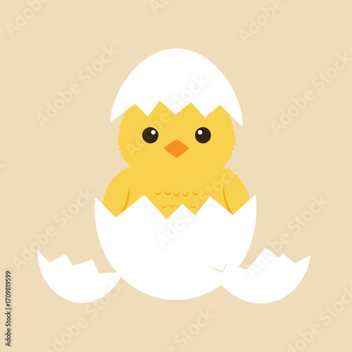 Cute Vector of Chick