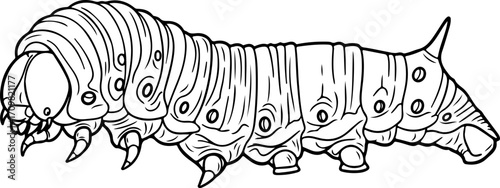 Vector art of black and white illustration of a caterpillar