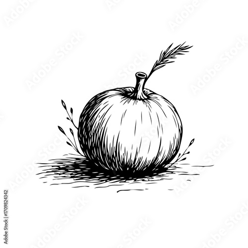 Whimsical pumpkin illustration featuring intricate linework and delicate botanical accents