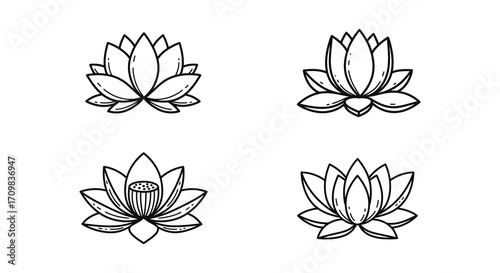 Four delicate lotus flower illustrations in a minimalist black and white style