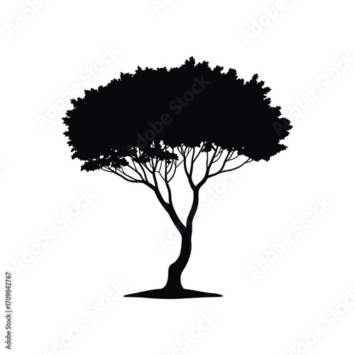 Silhouette of a majestic leafy tree with a strong trunk and spreading branches symbolizing nature and growth