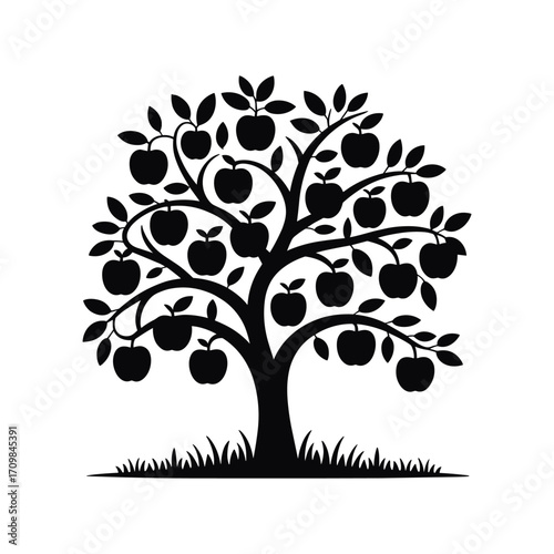 Silhouette of a lush apple tree laden with ripe fruit standing in grassy ground