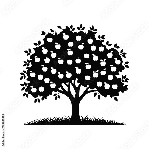 Silhouette of a fruit tree laden with apples lush green foliage and a ground of grass