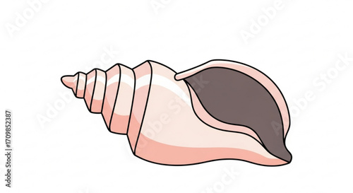 Illustration of a seashell, a spiral shell with a pink and brown color for decoration