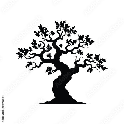 Silhouette of a majestic ancient tree with detailed branches and lush foliage