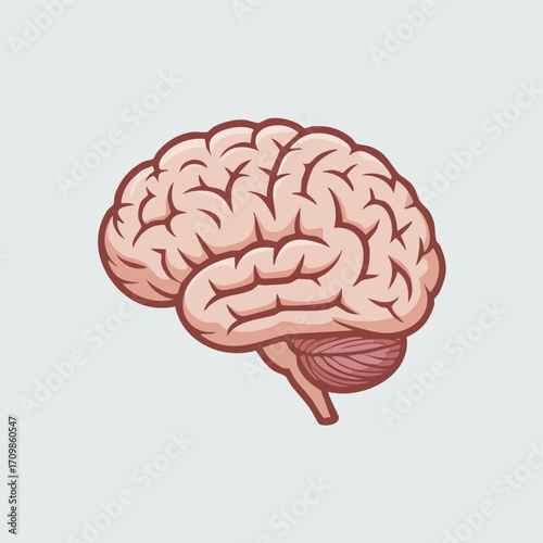 Anatomical illustration of a human brain, showing its lobes and structure, on a light background.
