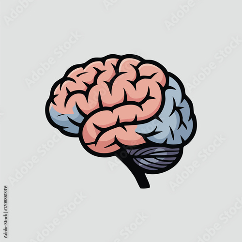 Illustration of a human brain with pink and blue sections against a light gray background.