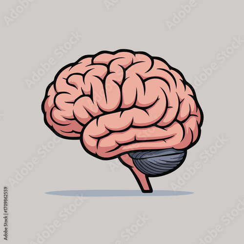 A stylized illustration of a human brain, showcasing its intricate folds and structure.