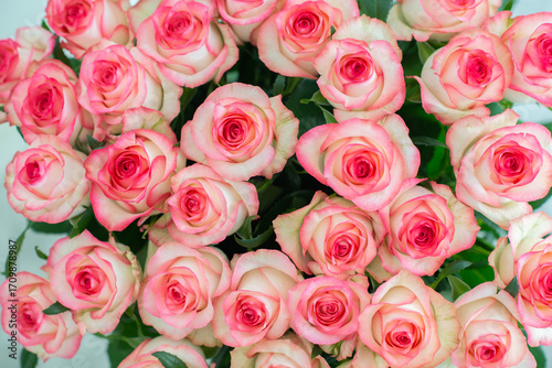 Elegant bouquet of pink and cream roses close up. Romantic floral background perfect for weddings, Valentine’s Day, anniversaries