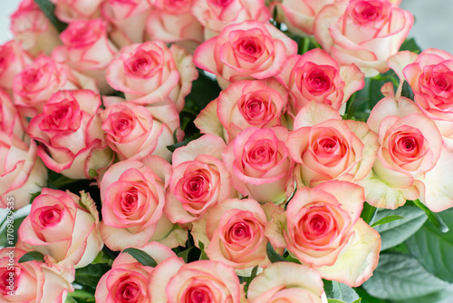 Elegant bouquet of pink and cream roses close up. Romantic floral background perfect for weddings, Valentine’s Day, anniversaries