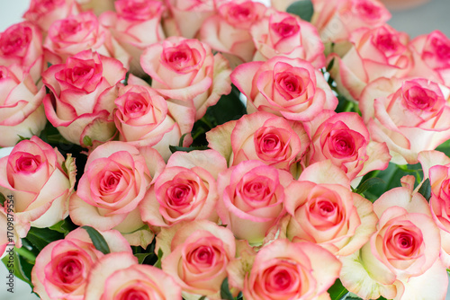 Elegant bouquet of pink and cream roses close up. Romantic floral background perfect for weddings, Valentine’s Day, anniversaries