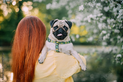 Young redhead woman holding her dog in the park. Cute pug looking intently at the camera.