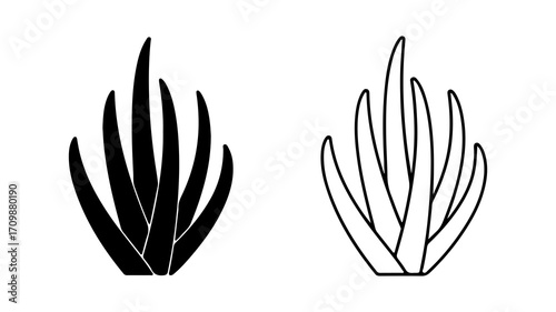 Aloe vera plant illustrations black and line art.