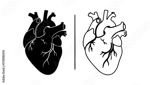 Anatomical human heart vector illustration set in silhouette and outline style.