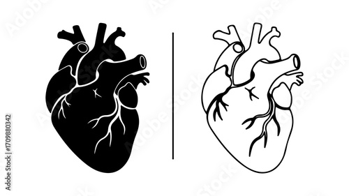 Anatomical Human Heart Illustrations in Silhouette and Outline Style.