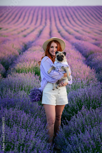 Portrait of a pug and its owner. A young red-haired woman holds her dog in her arms in a blooming lavender field. The pug and woman looks at the camera.