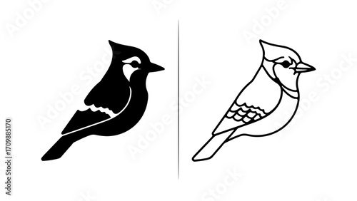 Blue Jay Bird Illustration Two Styles Black and White.