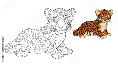 A detailed outline of a cute little leopard cub lying down next to a colored version of itself.