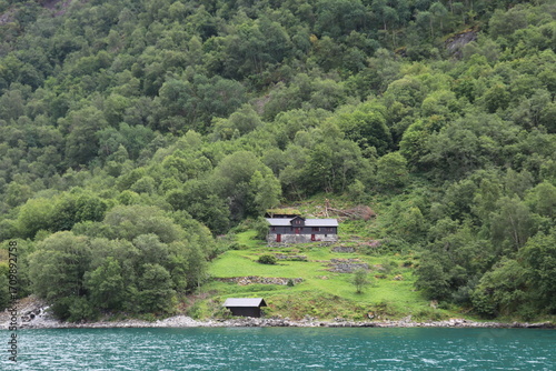 house on the geiranger between the trees
